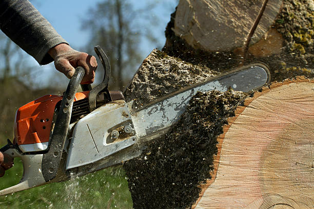 Best Utility Line Clearance  in Oakton, VA